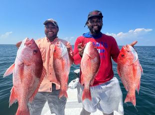 state red snapper photo